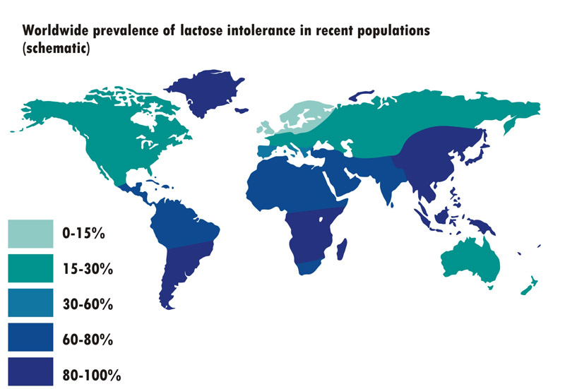 Worldwide Prevalence of Lactose Intolerance