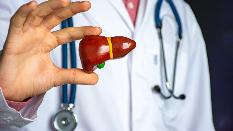 Doctor Holding Liver