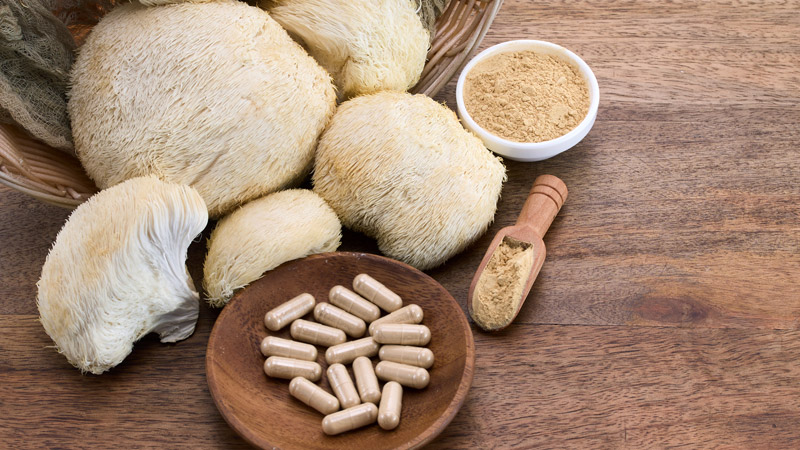These Top 5 Lion's Mane Supplements Can Help Supercharge Your Memory and Immune System